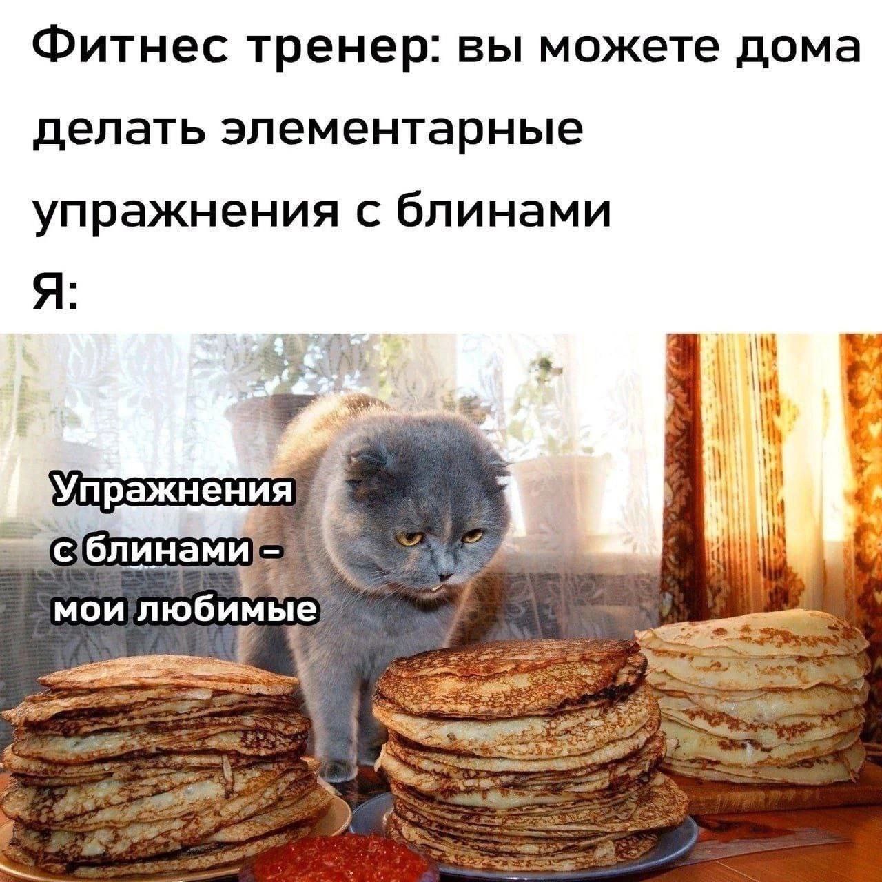 Блин подожди. Кот с блинами. Котик с блинчиками. Масленица кошки. Масленица. Блины.