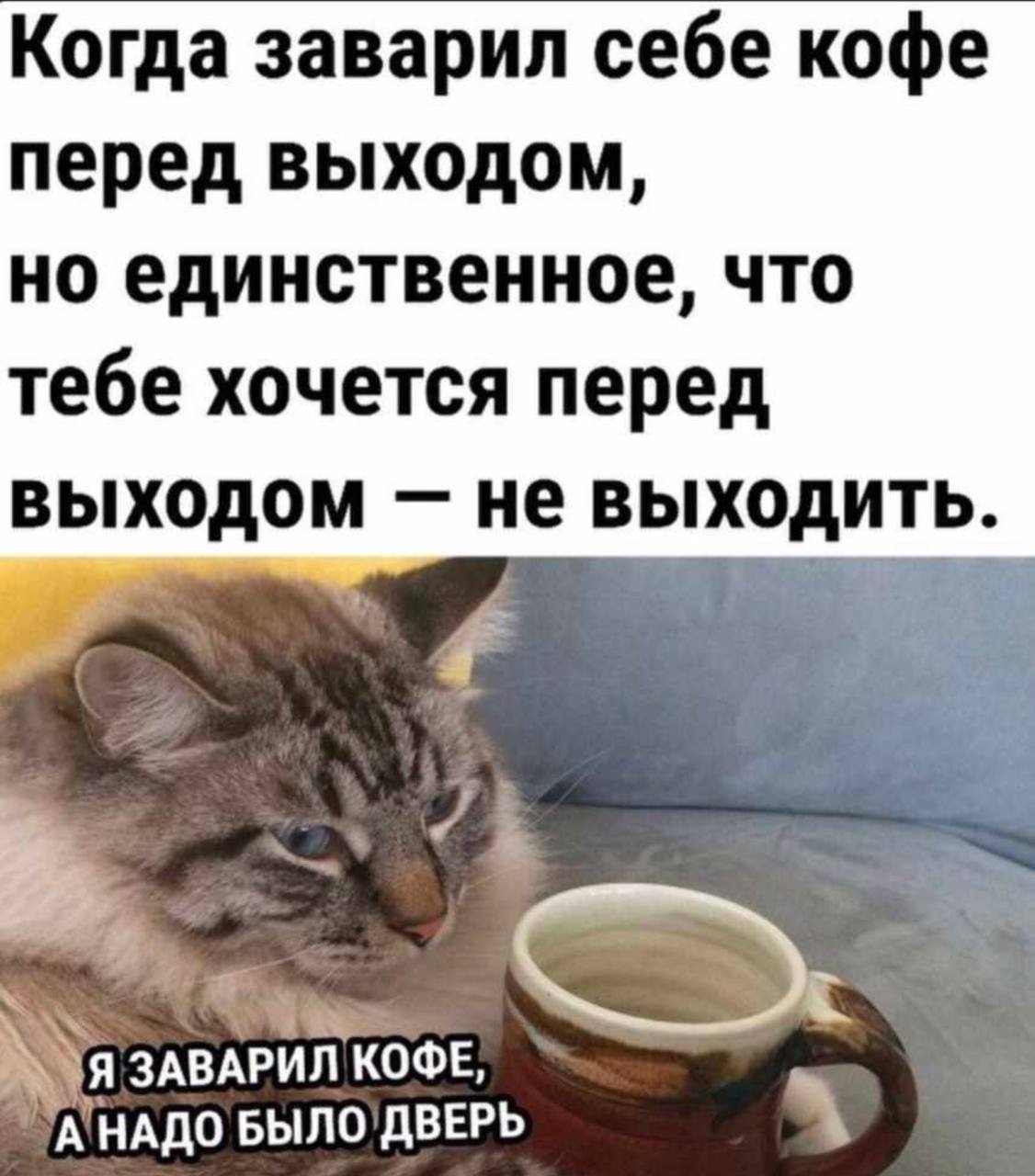 Смешное доброе утро картинки прикольные и смешные