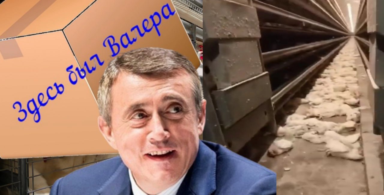 ​Вот такой у нас Валера: как глава Сахалина Лимаренко скрывает информацию  Губернатора Сахалинской области не на шутку встревожила публикация The Moscow Post о том, как с птицефабрики &laquo;Островная&raquo;, еди