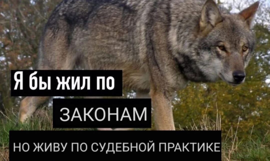Которые даже и понятия и не