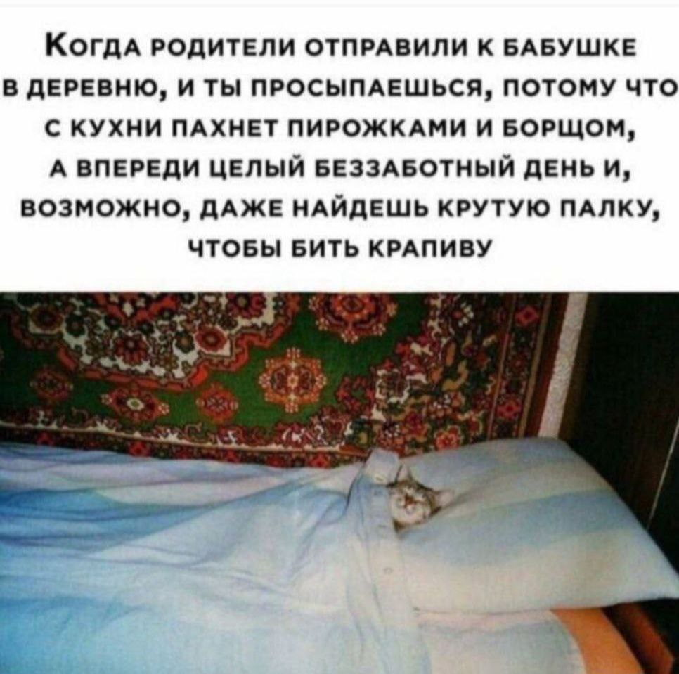 Красная таблетка. 