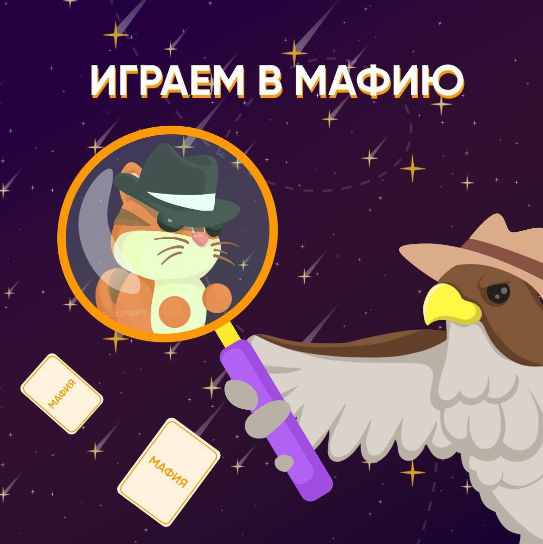 Публикация #2284 — StarPets.GG (@starpetsgg)