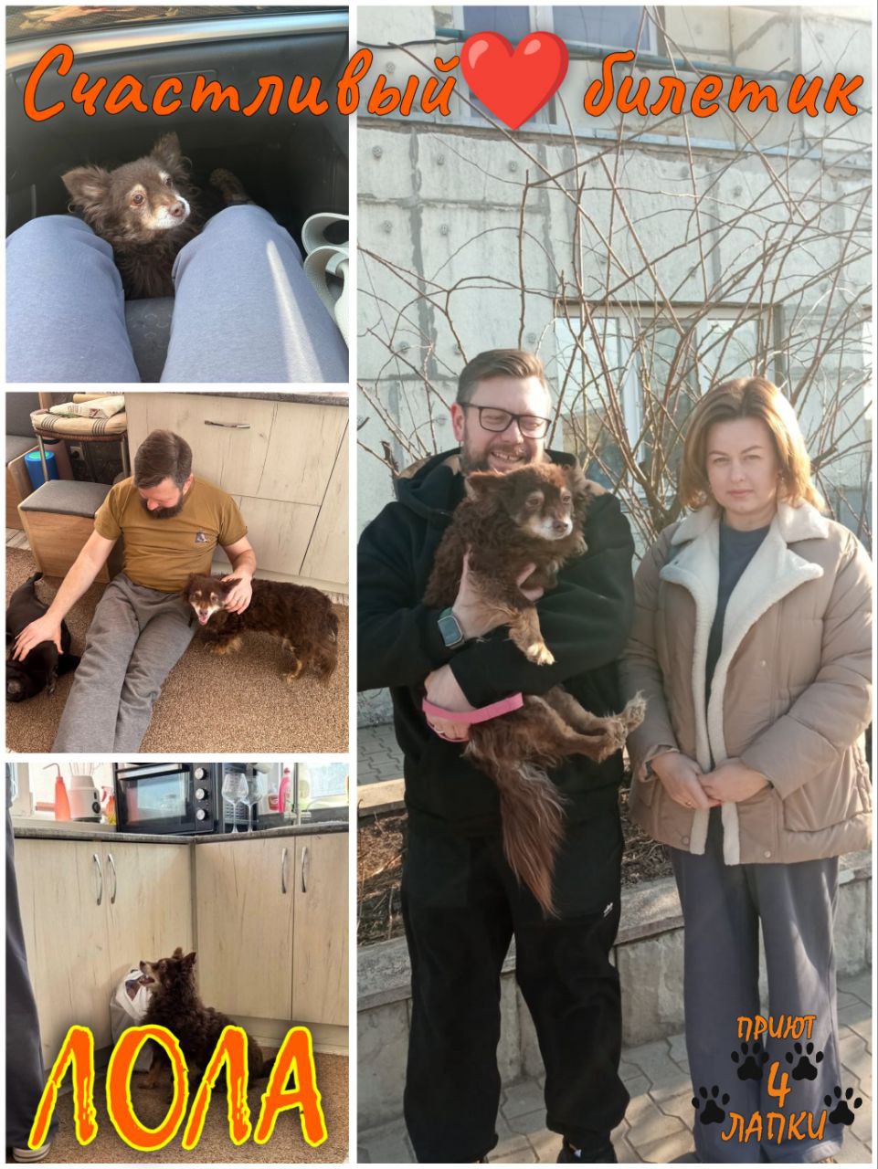Донецкий приют 🐾 4 лапки 🐾