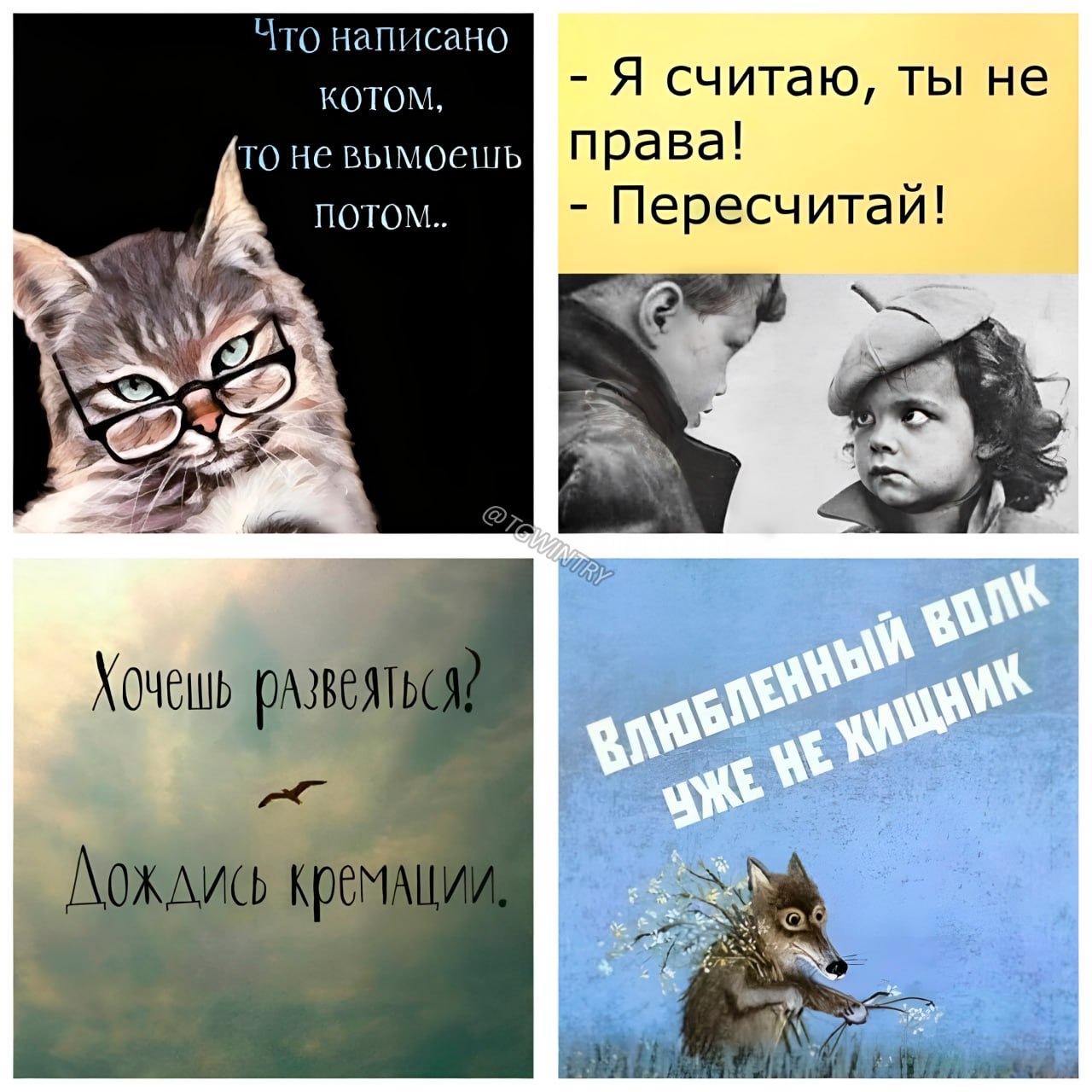 Открытка Прости, но ты какашка