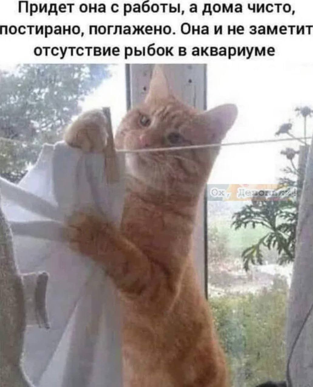 Анекдотов нет фотоприколы