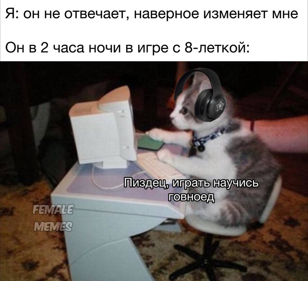 Публикация #10409 — FEMALE MEMES (@femalememes)