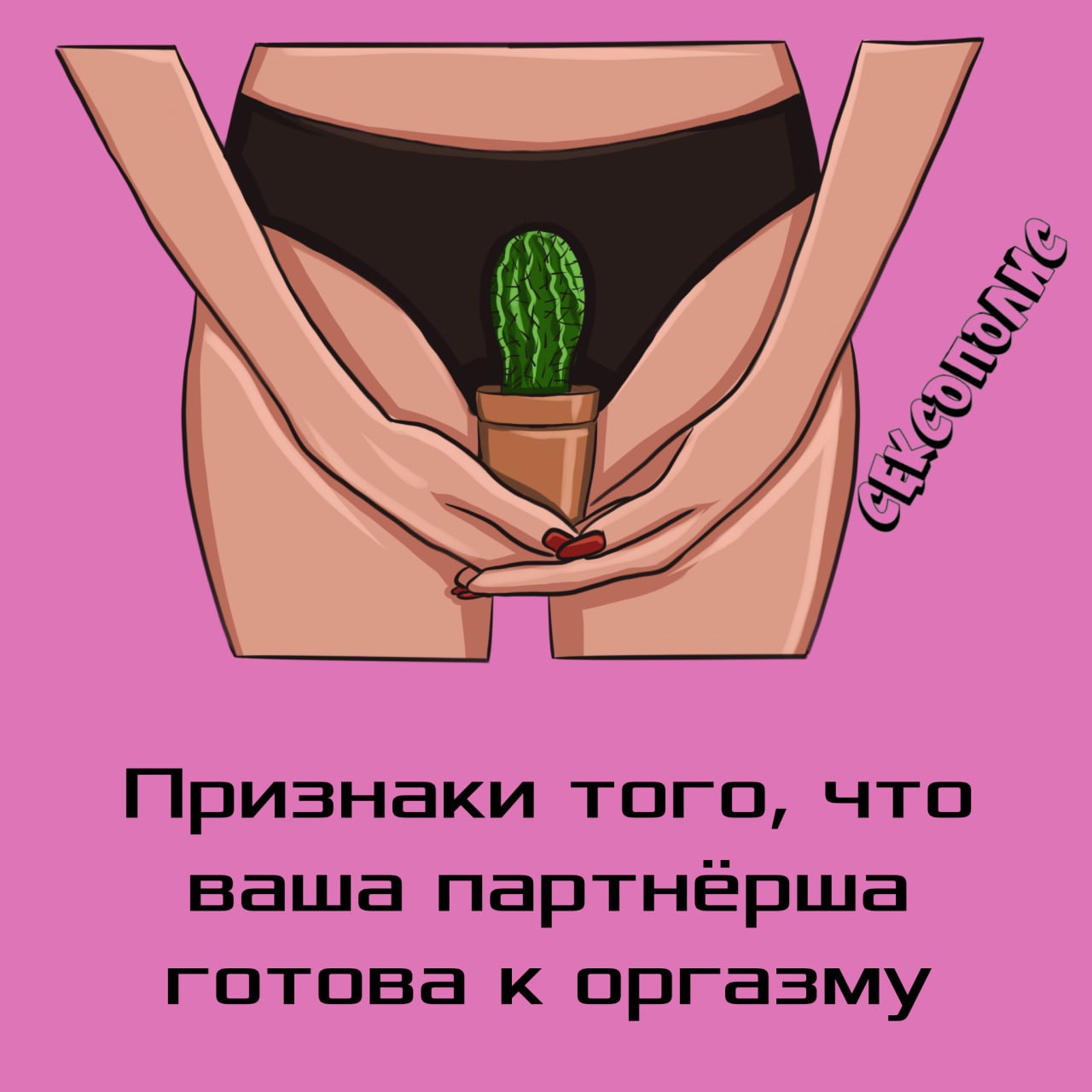 Клитор — Википедия