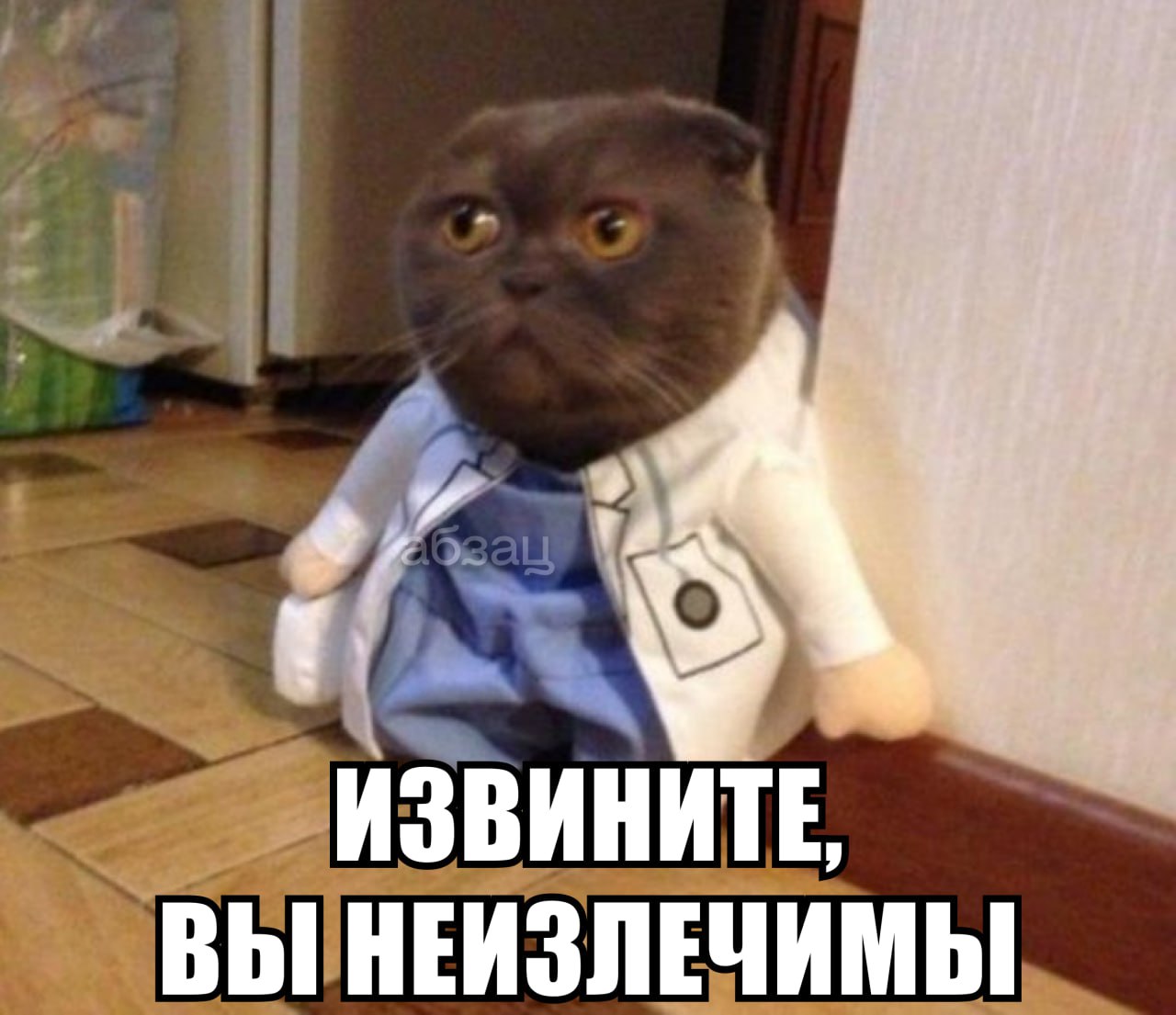 Кот доктор