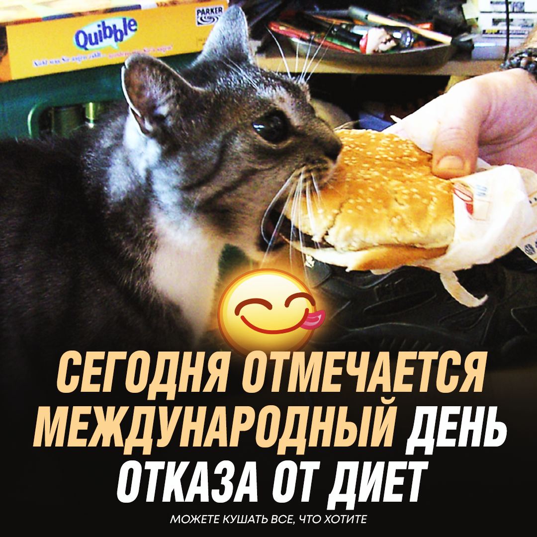 Мы сегодня кушать будем не будем
